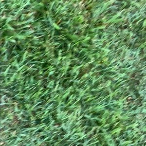 Meet your Posher, Martin